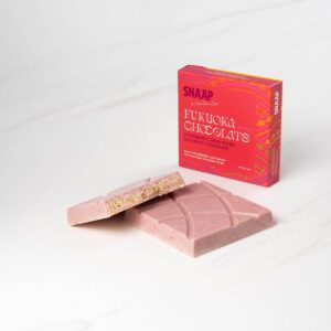 Fukuoka Chocolate – Strawberry Lotus Cheesecake Filled (90g)